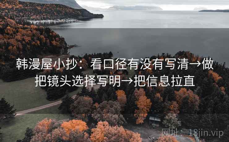 韩漫屋小抄：看口径有没有写清→做把镜头选择写明→把信息拉直